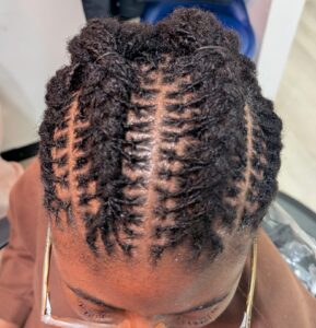 Sister Locs / Micro Locs